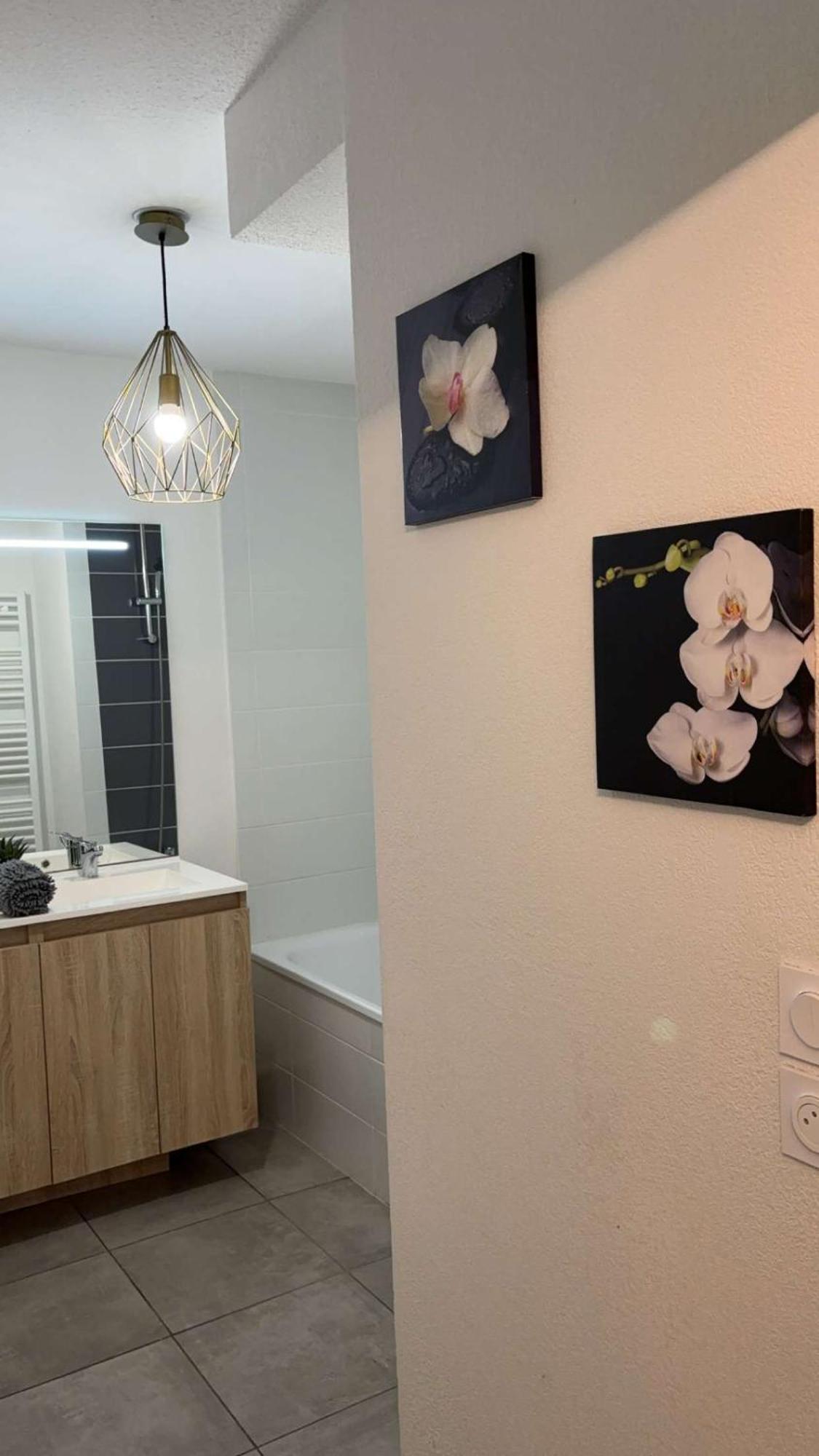 Suite Jacuzzi "Spa Privatif " Appartement Jacuzzi Τουλούζη Εξωτερικό φωτογραφία