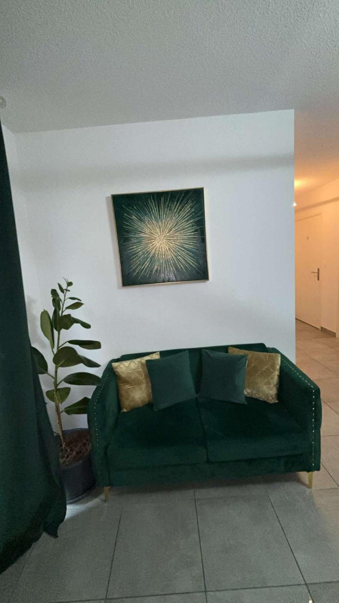 Suite Jacuzzi "Spa Privatif " Appartement Jacuzzi Τουλούζη Εξωτερικό φωτογραφία