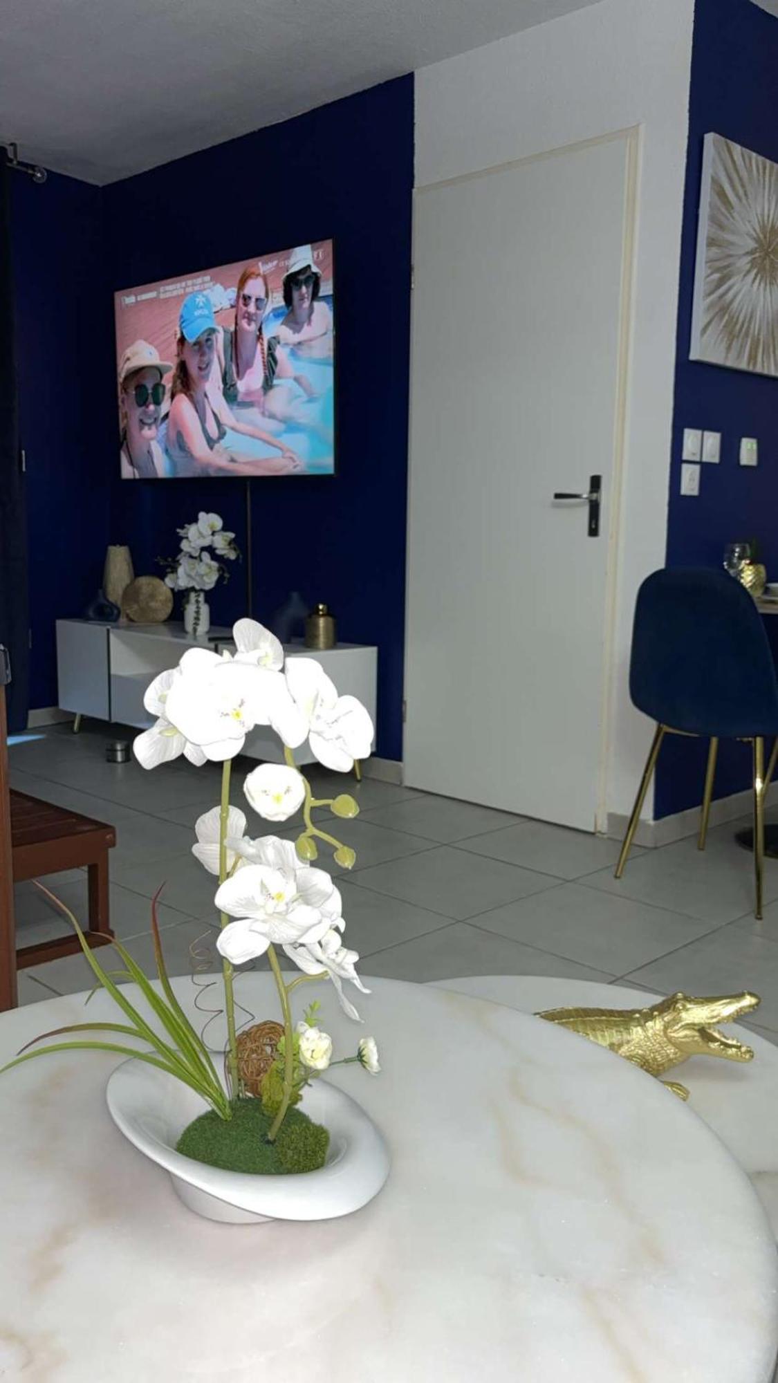 Suite Jacuzzi "Spa Privatif " Appartement Jacuzzi Τουλούζη Εξωτερικό φωτογραφία