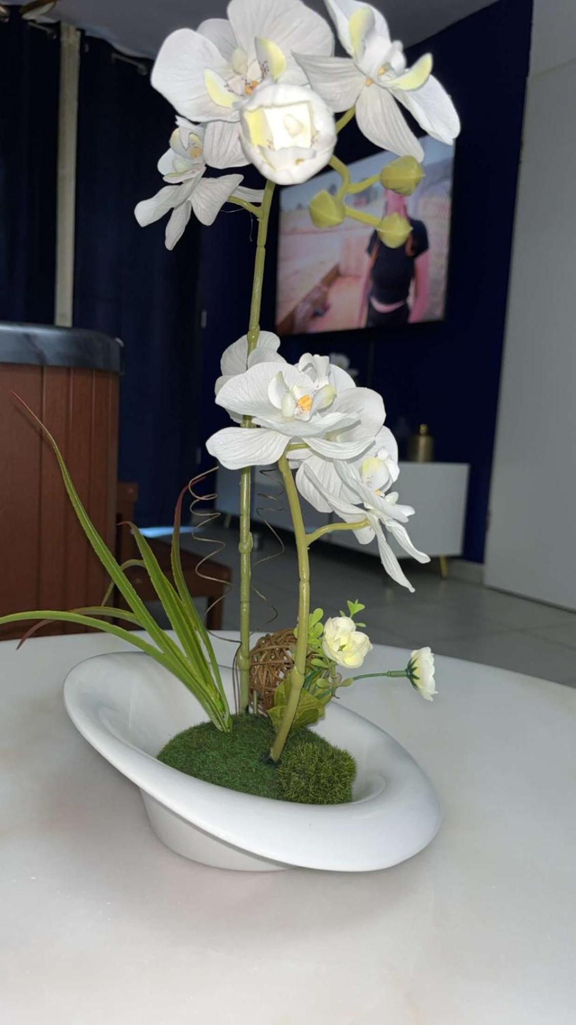 Suite Jacuzzi "Spa Privatif " Appartement Jacuzzi Τουλούζη Εξωτερικό φωτογραφία